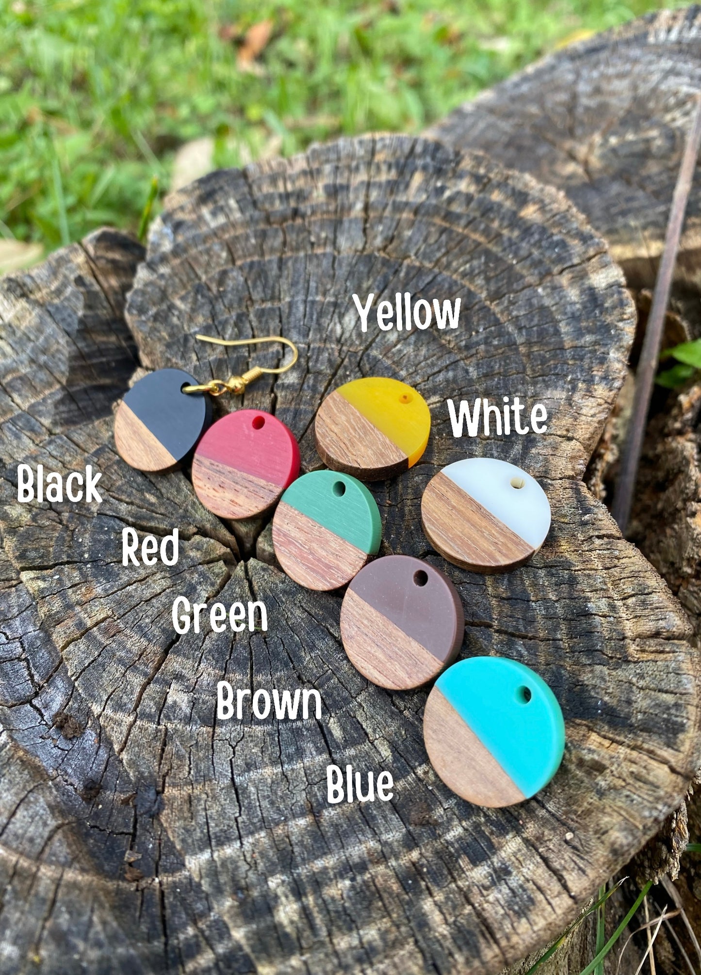 Circle Resin/Wood Earrings