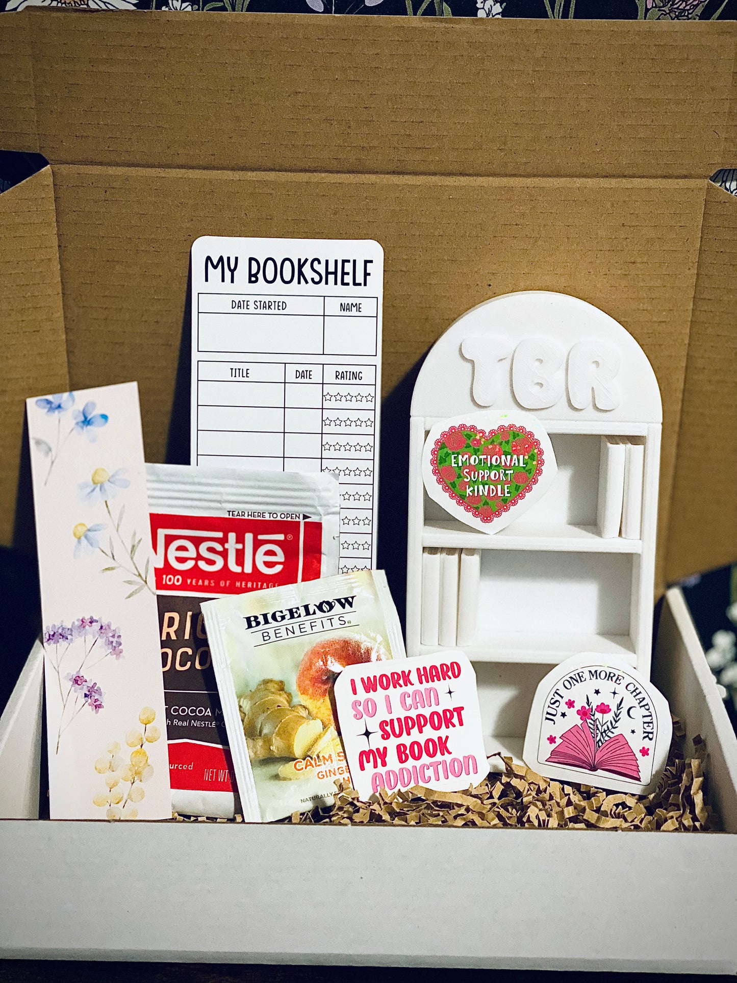 TBR Mini Bookshelf Box