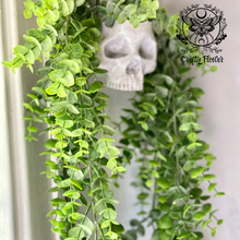 Load image into Gallery viewer, Skull Hanging Planter
