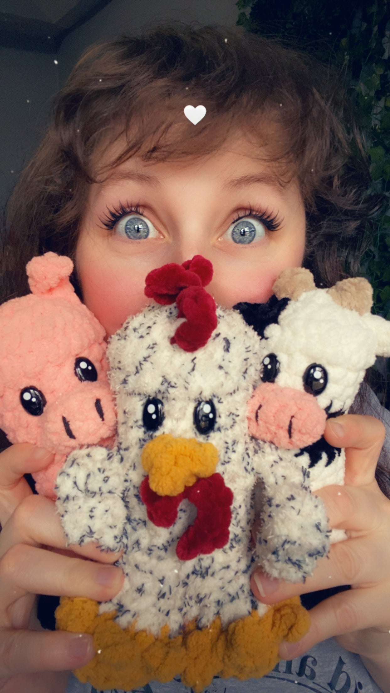 Barnyard Boners Crochet Patterns (PDF ONLY)